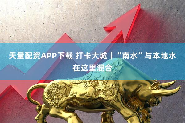 天量配资APP下载 打卡大城｜“南水”与本地水在这里混合