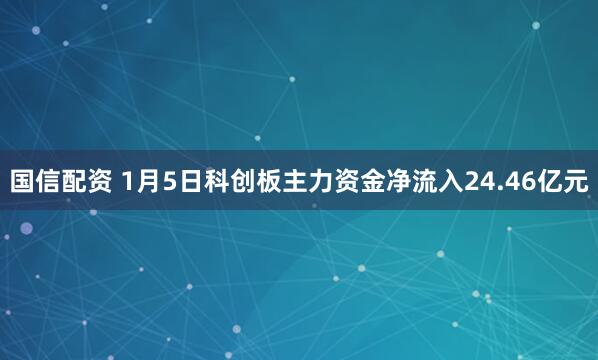 国信配资 1月5日科创板主力资金净流入24.46亿元