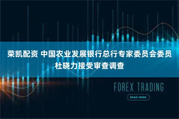 荣凯配资 中国农业发展银行总行专家委员会委员杜晓力接受审查调查
